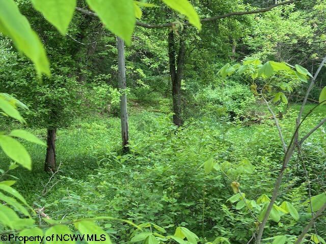 TBD Moyer Hollow Rd, Elkins, WV 26241