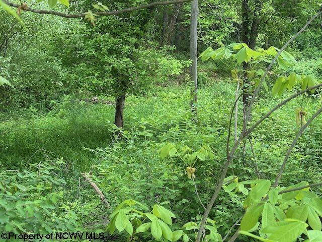 TBD Moyer Hollow Rd, Elkins, WV 26241
