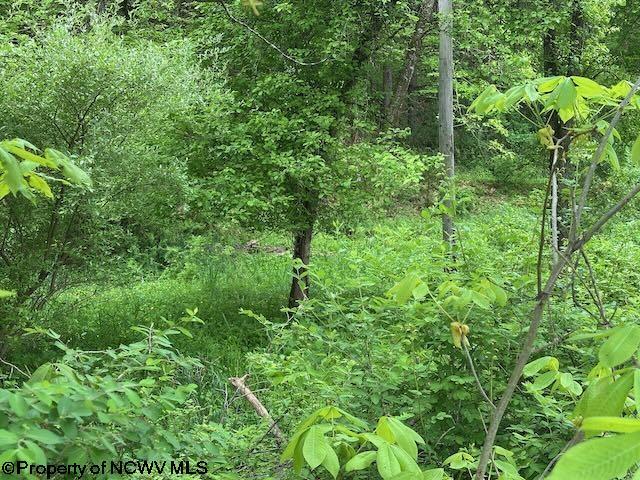TBD Moyer Hollow Rd, Elkins, WV 26241