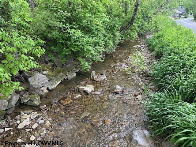 TBD Moyer Hollow Rd, Elkins, WV 26241