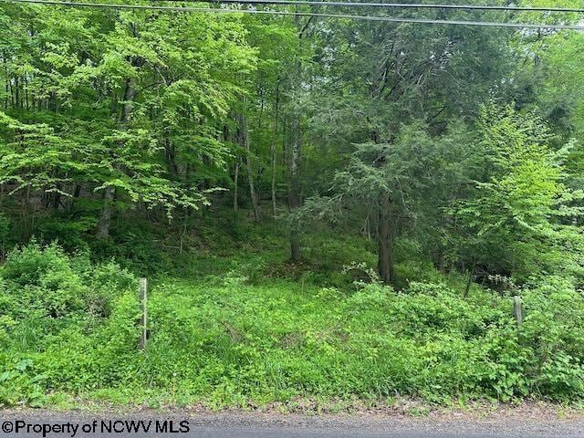TBD Moyer Hollow Rd, Elkins, WV 26241