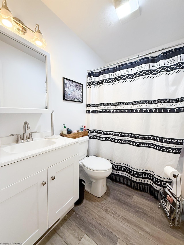 96 Long St, Hambleton, WV 26269 - full bath with wood finished floors, vanity, toilet, vaulted ceiling, and a shower with curtain