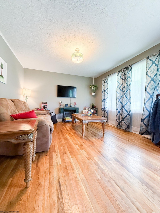 96 Long St, Hambleton, WV 26269 - living area with a textured ceiling and wood finished floors