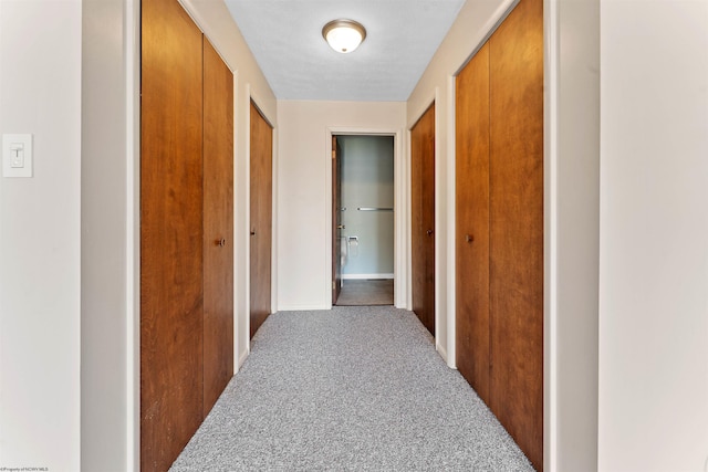 6 Ridge Pl, Morgantown, WV 26505 - corridor with carpet and baseboards