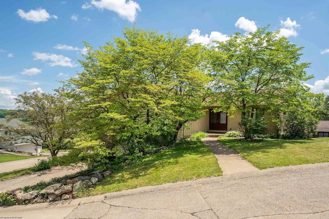 6 Ridge Pl, Morgantown, WV 26505 - view of property hidden behind natural elements with a front yard