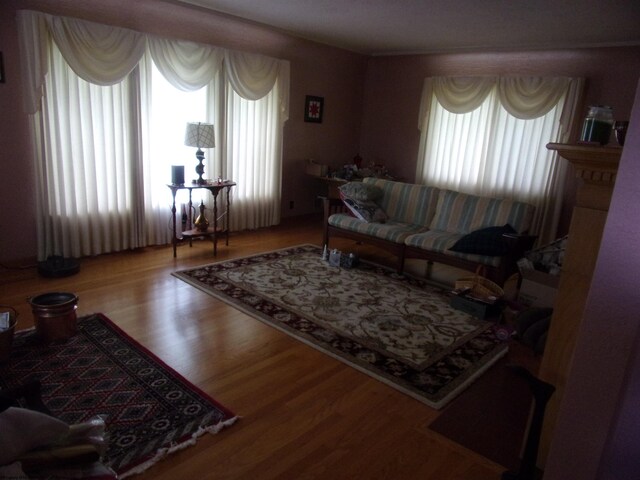 201 Findley St, Elkins, WV 26241 - living area with wood finished floors