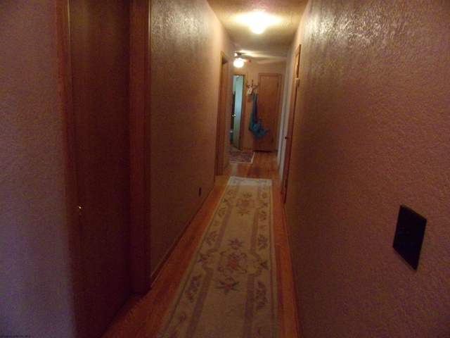201 Findley St, Elkins, WV 26241 - hallway with light wood-style floors and a textured wall