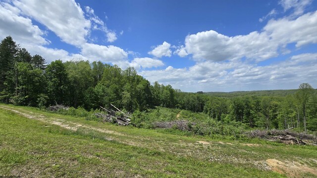 667 Midway Rd, Belington, WV 26250