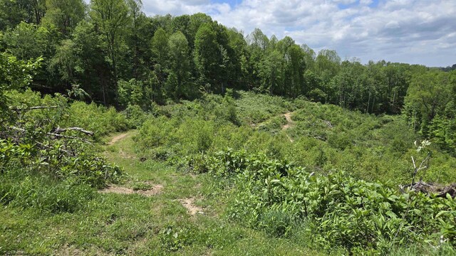 667 Midway Rd, Belington, WV 26250