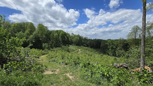 667 Midway Rd, Belington, WV 26250