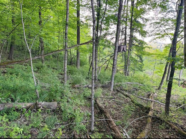 667 Midway Rd, Belington, WV 26250