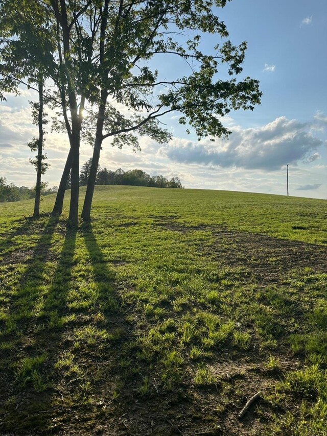 667 Midway Rd, Belington, WV 26250