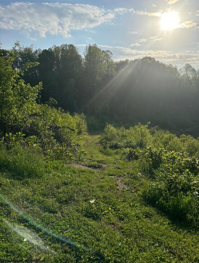 667 Midway Rd, Belington, WV 26250