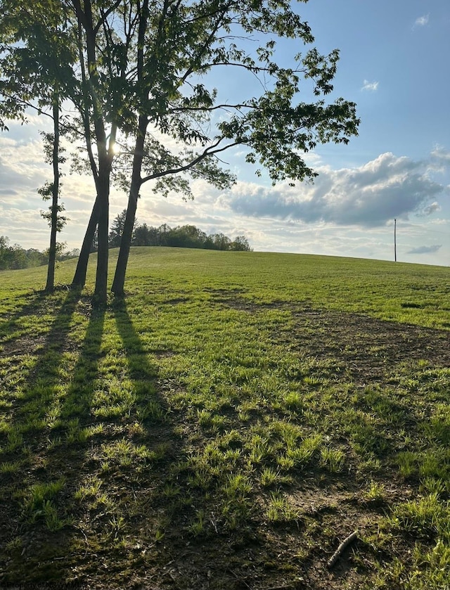 667 Midway Rd, Belington, WV 26250