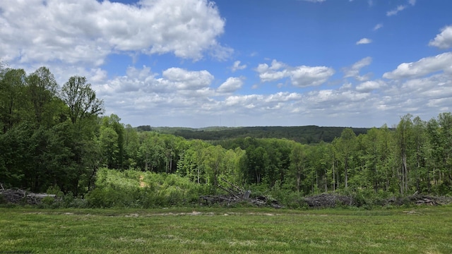667 Midway Rd, Belington, WV 26250