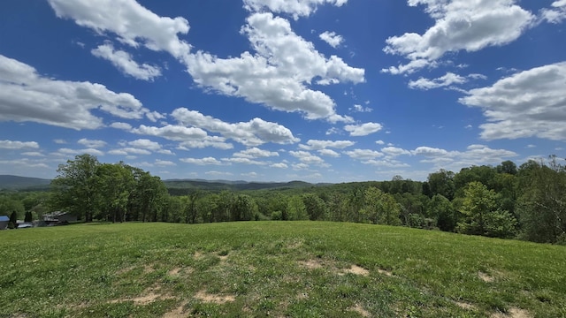 667 Midway Rd, Belington, WV 26250
