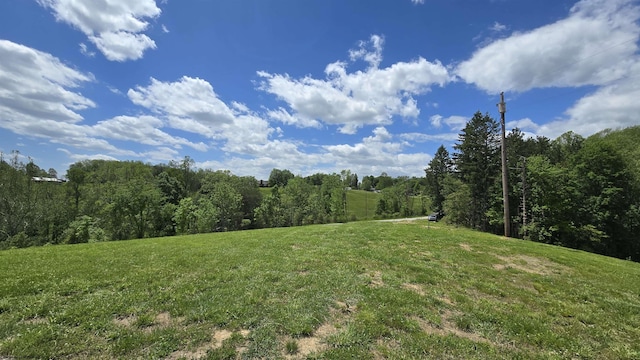 667 Midway Rd, Belington, WV 26250