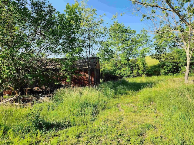 580 Deer Haven Dr, Lost Creek, WV 26385 - view of local wilderness