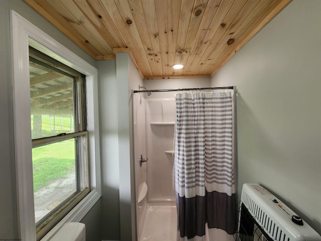 580 Deer Haven Dr, Lost Creek, WV 26385 - full bath featuring wood ceiling, a shower with curtain, heating unit, and toilet