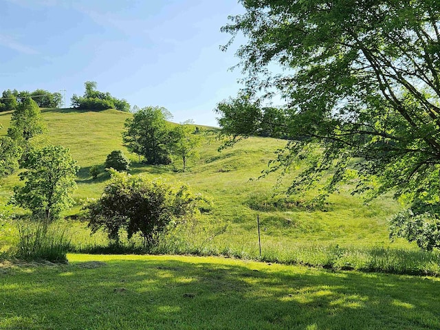 580 Deer Haven Dr, Lost Creek, WV 26385 - view of green lawn
