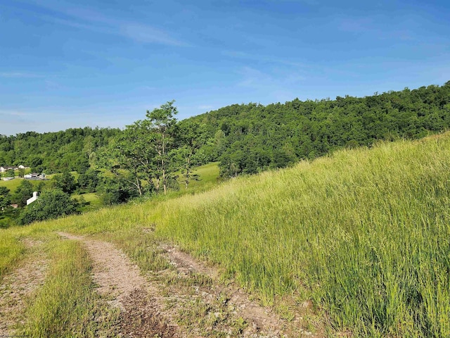 580 Deer Haven Dr, Lost Creek, WV 26385 - view of tree filled area