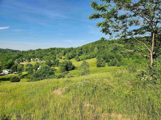 580 Deer Haven Dr, Lost Creek, WV 26385 - view of woods