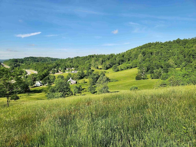 580 Deer Haven Dr, Lost Creek, WV 26385 - view of mountain backdrop with a heavily wooded area