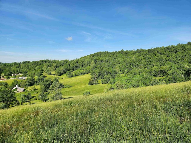 580 Deer Haven Dr, Lost Creek, WV 26385 - view of woods