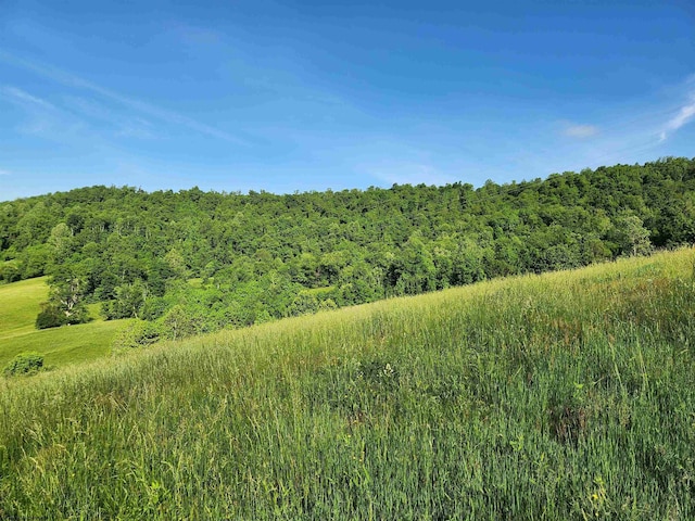 580 Deer Haven Dr, Lost Creek, WV 26385 - view of woods