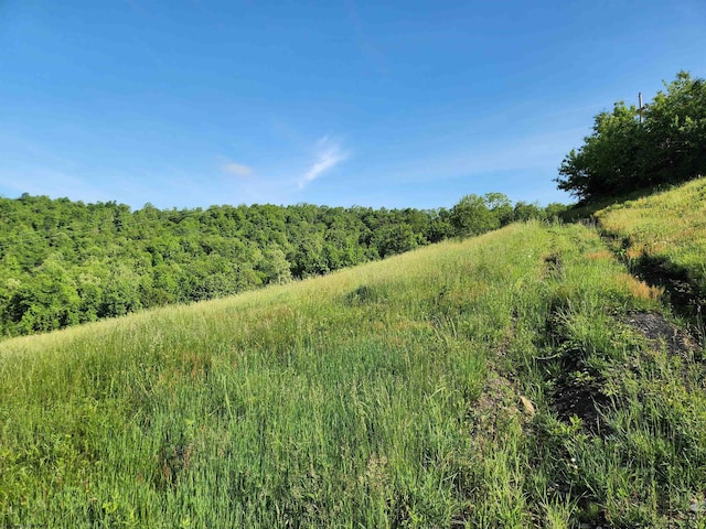 580 Deer Haven Dr, Lost Creek, WV 26385 - view of woods