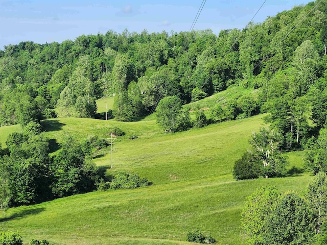 580 Deer Haven Dr, Lost Creek, WV 26385 - view of green lawn