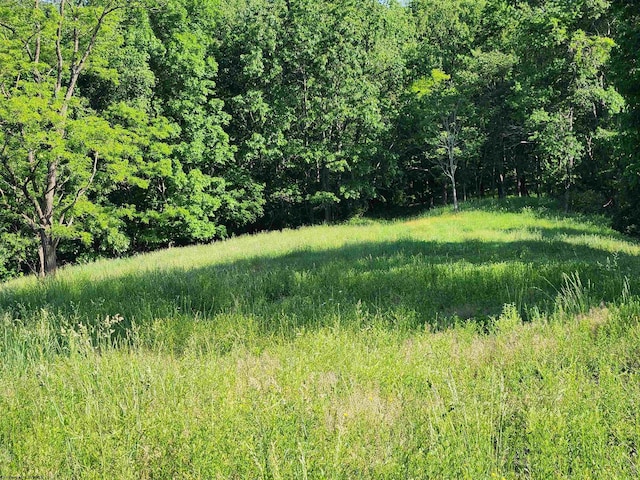 580 Deer Haven Dr, Lost Creek, WV 26385 - view of local wilderness