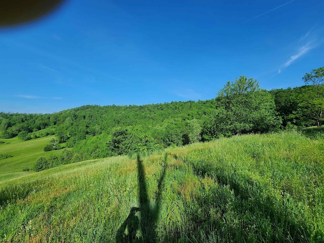 580 Deer Haven Dr, Lost Creek, WV 26385 - view of wooded area