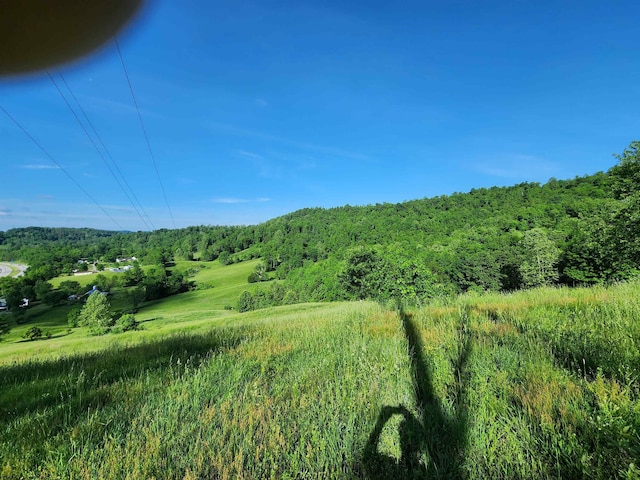 580 Deer Haven Dr, Lost Creek, WV 26385 - view of mountain background featuring a heavily wooded area