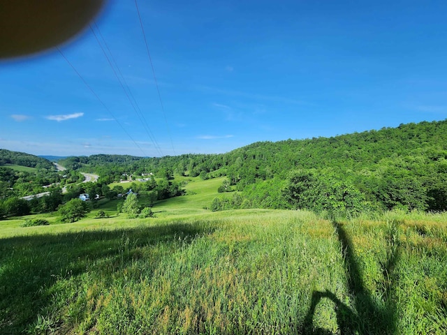 580 Deer Haven Dr, Lost Creek, WV 26385 - view of mountain backdrop with a forest