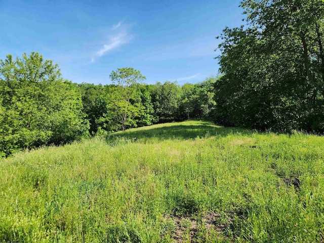 580 Deer Haven Dr, Lost Creek, WV 26385 - view of tree filled area
