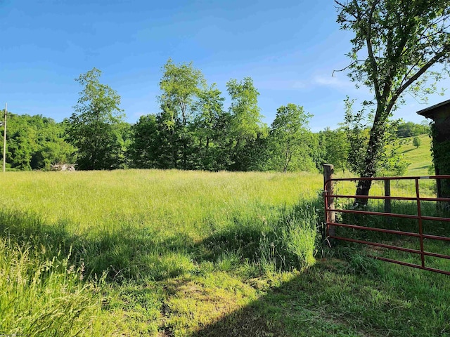 580 Deer Haven Dr, Lost Creek, WV 26385 - view of yard with fence