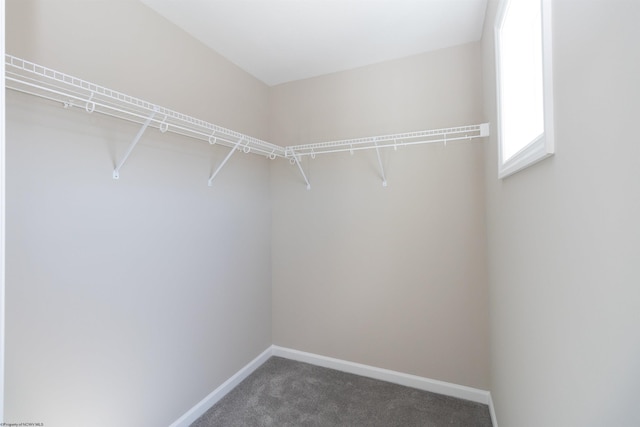 111 Frisco Ln, Bridgeport, WV 26330 - walk in closet featuring carpet flooring