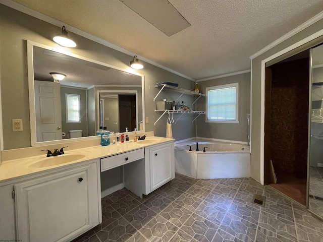 564 Big Run Rd, Napier, WV 26631 - full bath with crown molding, a textured ceiling, a bath, double vanity, and toilet