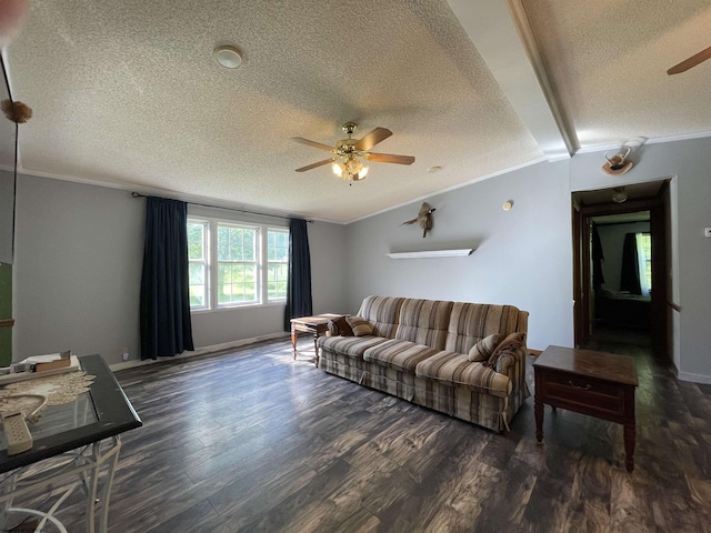 564 Big Run Rd, Napier, WV 26631 - living area with ceiling fan, a textured ceiling, ornamental molding, dark wood-type flooring, and vaulted ceiling