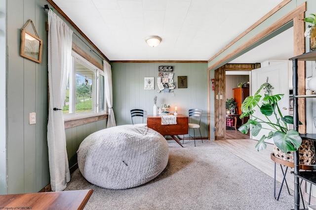 719 Elk Run Rd, Bruceton Mills, WV 26525 - sitting room with ornamental molding, carpet flooring, and wooden walls
