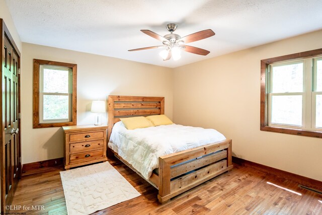 434 Cabin Mountain Rd, Davis, WV 26260 - bedroom with wood finished floors, baseboards, and multiple windows
