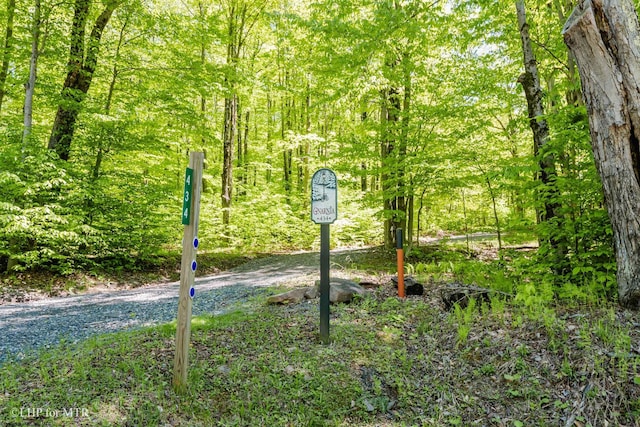434 Cabin Mountain Rd, Davis, WV 26260 - view of yard with a view of trees