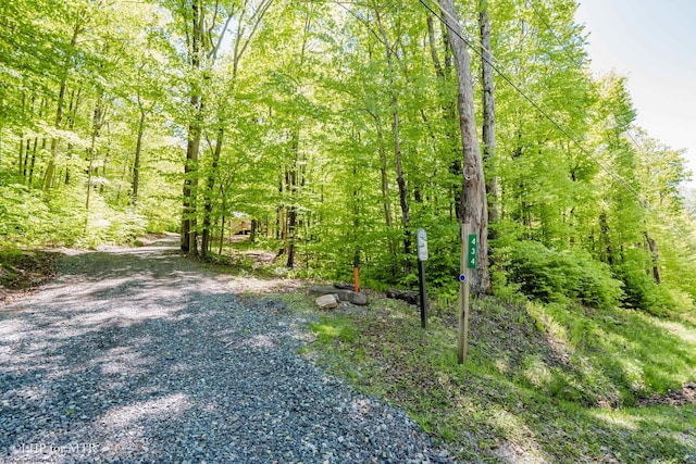 434 Cabin Mountain Rd, Davis, WV 26260 - view of yard