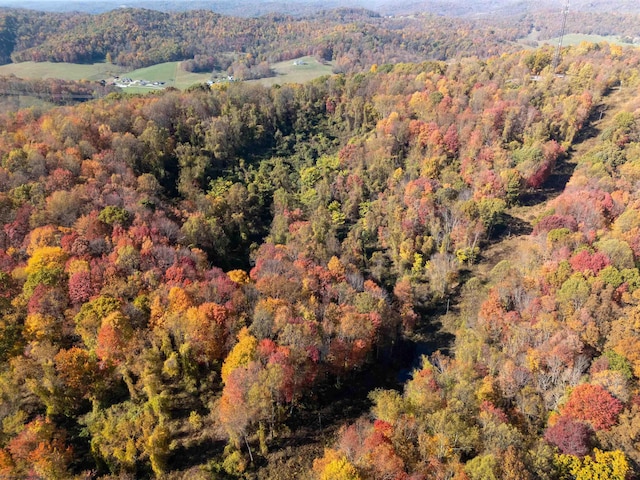 ParcelC Guston Run Road, Morgantown, WV 26505