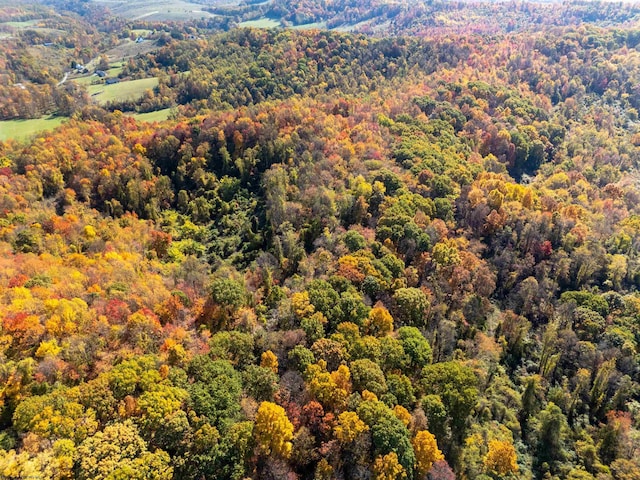 ParcelC Guston Run Road, Morgantown, WV 26505