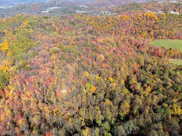 ParcelC Guston Run Road, Morgantown, WV 26505