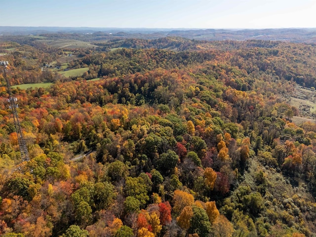 ParcelC Guston Run Road, Morgantown, WV 26505