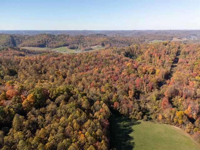 ParcelC Guston Run Road, Morgantown, WV 26505