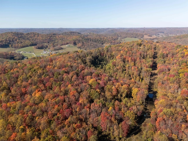 ParcelC Guston Run Road, Morgantown, WV 26505
